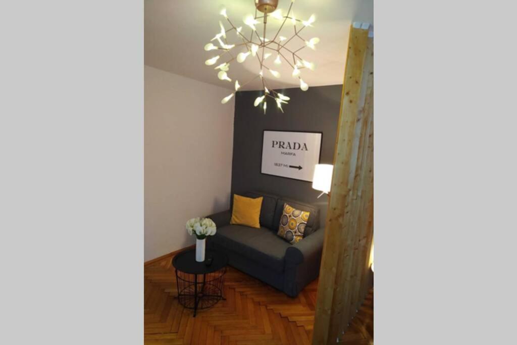 Art & Design Apt - City Center ทิมิชัวรา ภายนอก รูปภาพ