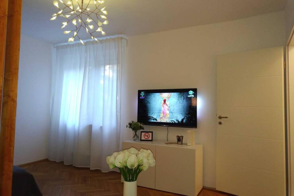 Art & Design Apt - City Center ทิมิชัวรา ภายนอก รูปภาพ